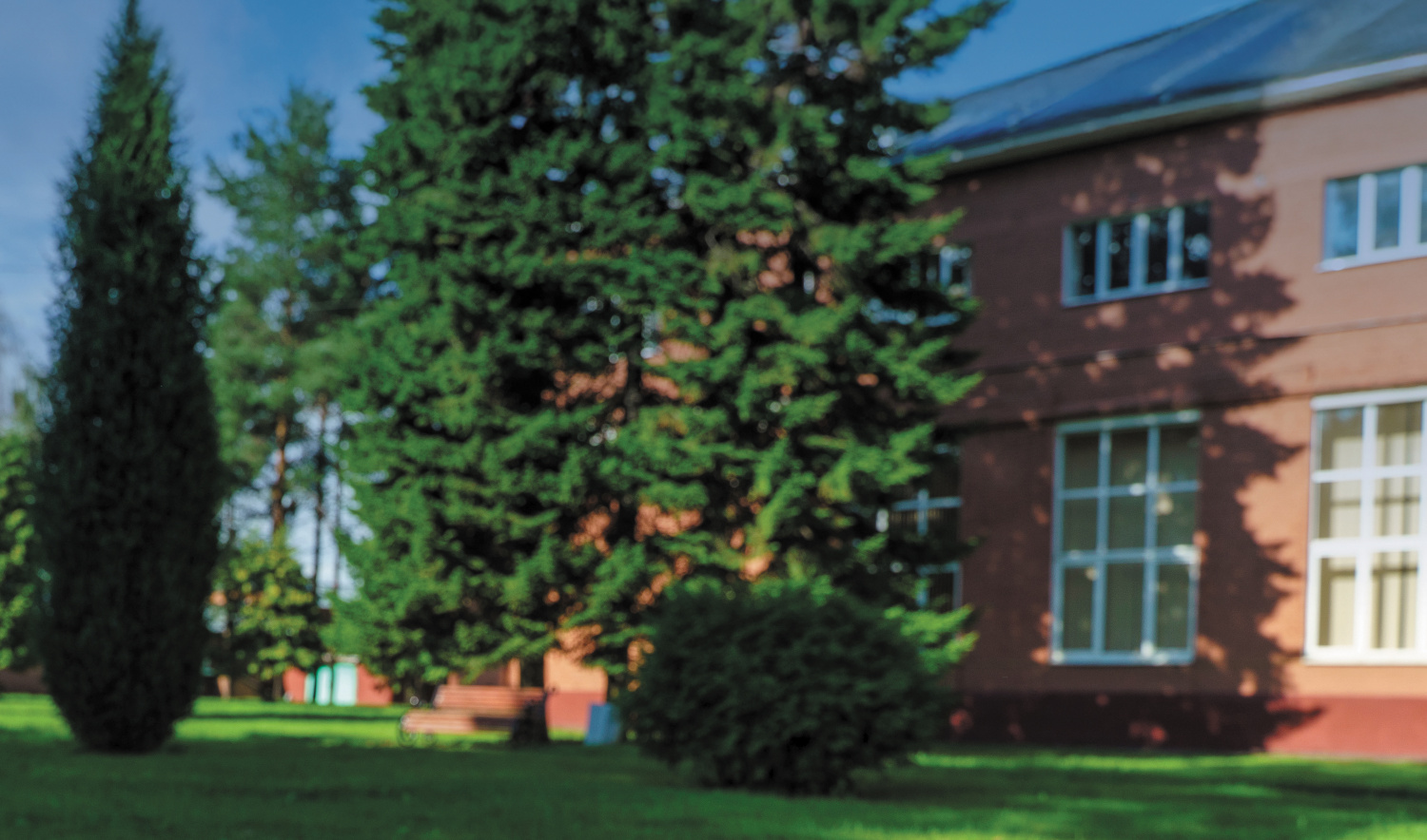 Забота о психическом здоровье в мегаполисе